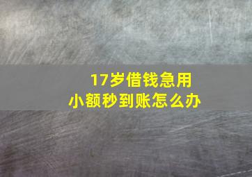 17岁借钱急用小额秒到账怎么办