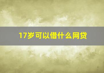 17岁可以借什么网贷