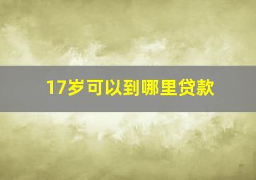 17岁可以到哪里贷款