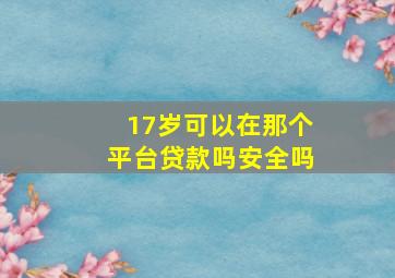 17岁可以在那个平台贷款吗安全吗