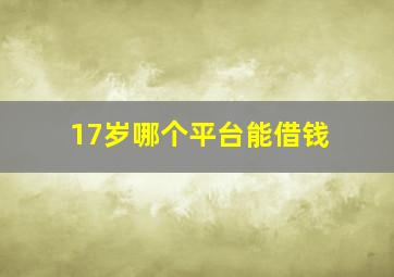 17岁哪个平台能借钱