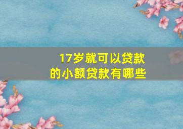 17岁就可以贷款的小额贷款有哪些