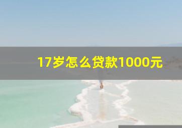 17岁怎么贷款1000元