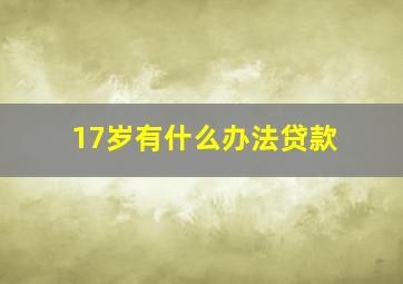 17岁有什么办法贷款