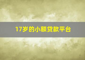 17岁的小额贷款平台