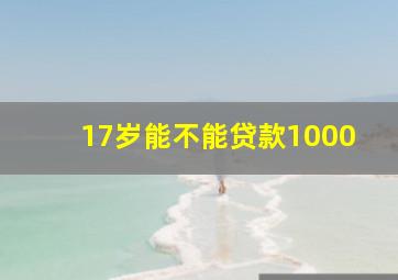 17岁能不能贷款1000