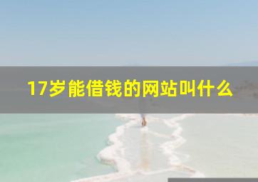 17岁能借钱的网站叫什么