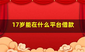 17岁能在什么平台借款