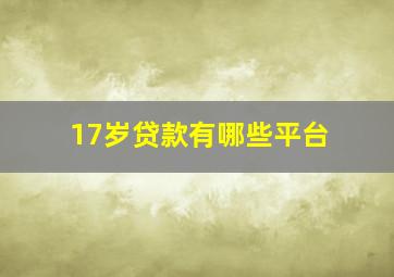 17岁贷款有哪些平台