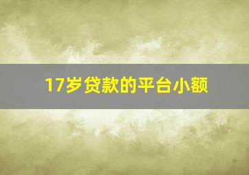 17岁贷款的平台小额