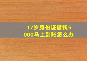 17岁身份证借钱5000马上到账怎么办