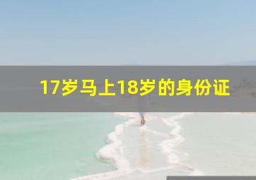 17岁马上18岁的身份证