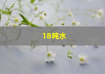 18吨水