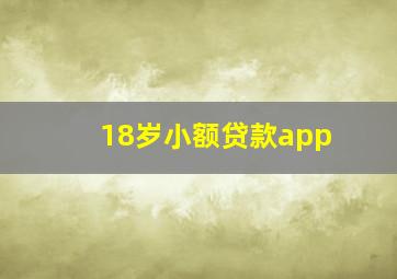 18岁小额贷款app