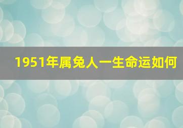 1951年属兔人一生命运如何