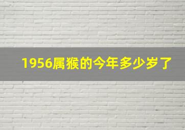 1956属猴的今年多少岁了