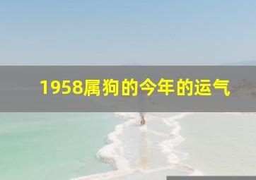 1958属狗的今年的运气