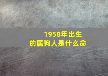 1958年出生的属狗人是什么命