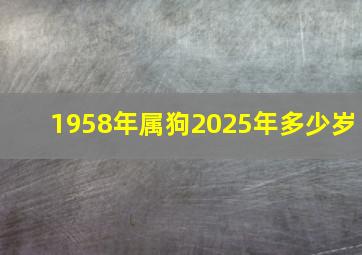 1958年属狗2025年多少岁