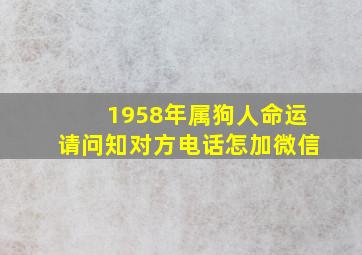 1958年属狗人命运请问知对方电话怎加微信