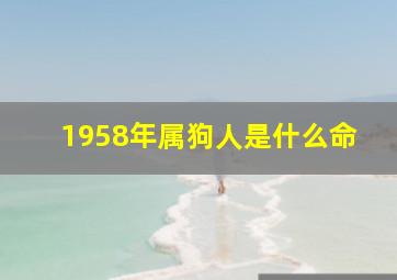 1958年属狗人是什么命