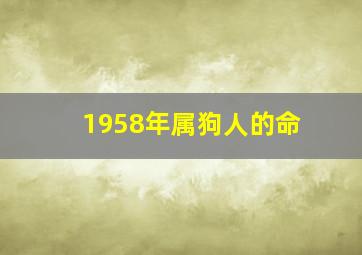 1958年属狗人的命