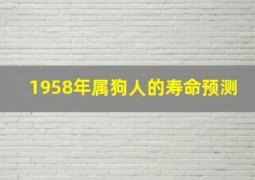 1958年属狗人的寿命预测