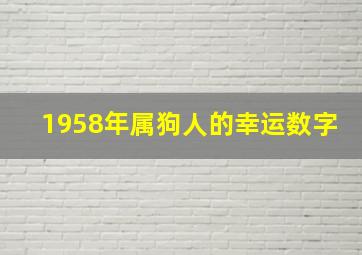 1958年属狗人的幸运数字