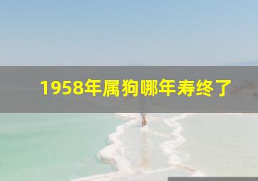 1958年属狗哪年寿终了