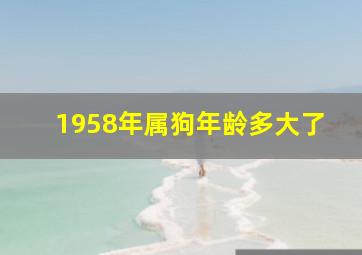 1958年属狗年龄多大了