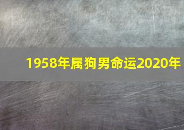 1958年属狗男命运2020年