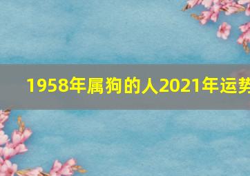 1958年属狗的人2021年运势