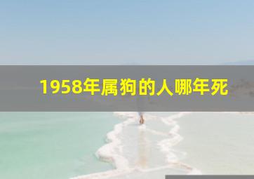 1958年属狗的人哪年死