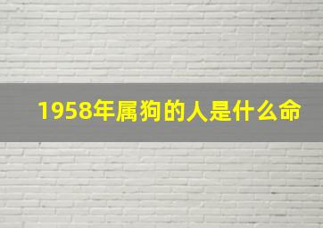 1958年属狗的人是什么命