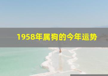 1958年属狗的今年运势