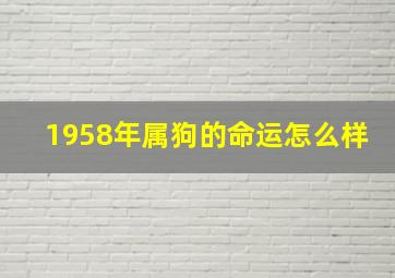 1958年属狗的命运怎么样