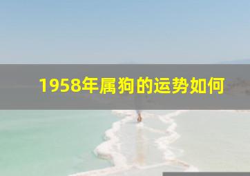 1958年属狗的运势如何