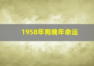 1958年狗晚年命运