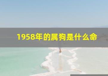 1958年的属狗是什么命