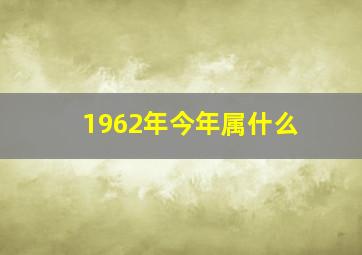 1962年今年属什么