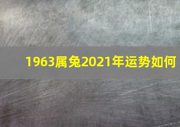 1963属兔2021年运势如何