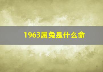 1963属兔是什么命