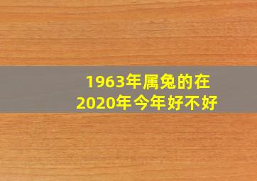 1963年属兔的在2020年今年好不好