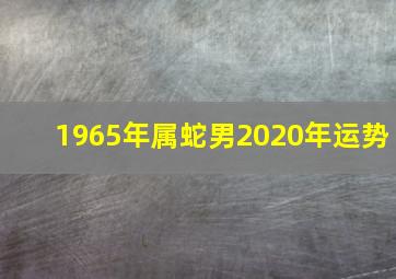 1965年属蛇男2020年运势