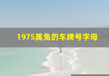 1975属兔的车牌号字母