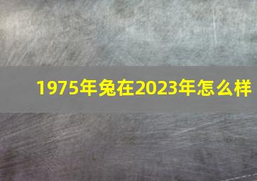 1975年兔在2023年怎么样