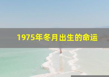 1975年冬月出生的命运