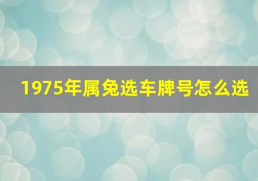 1975年属兔选车牌号怎么选