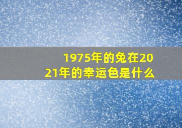 1975年的兔在2021年的幸运色是什么