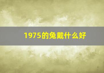 1975的兔戴什么好